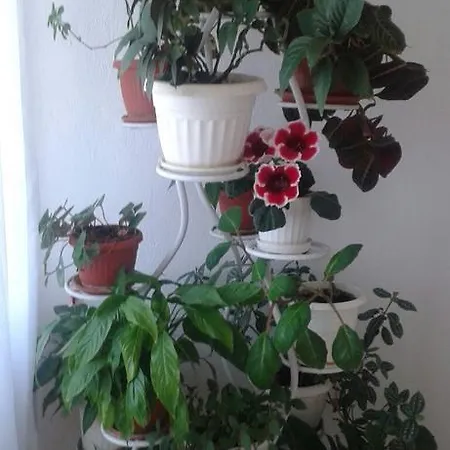 Prestige بيت ضيافة سينيموريتس