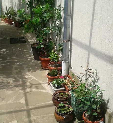 Prestige Къща за гости