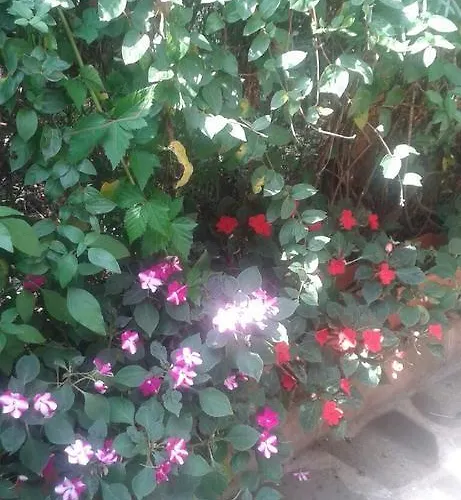 Къща за гости Prestige