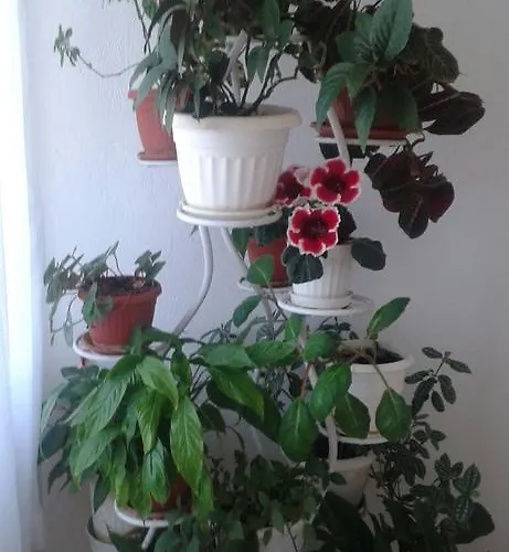 Prestige Къща за гости Синеморец